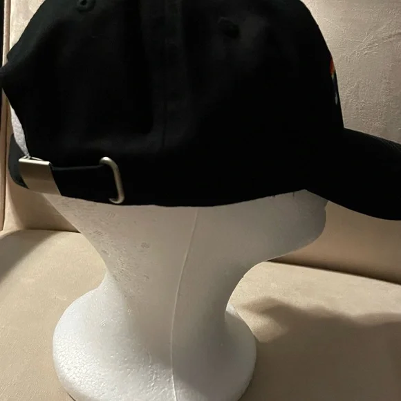 💚💚 Embroidered, Black Baseball Hat; adjustable size.The Phluid Project brand - Picture 8 of 9